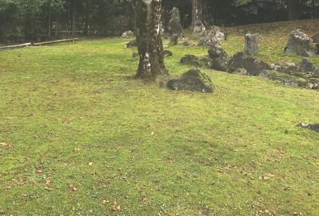 北畠神社　苔緑のカーペット